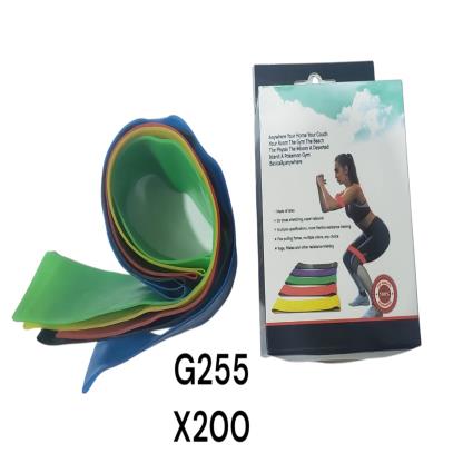 CINTA ELASTICA GYM X5 G255